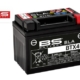 YCF BS BT4B-5 | BTX4L | BTZ7S Batterie Wartungsfrei YC110-1507-
