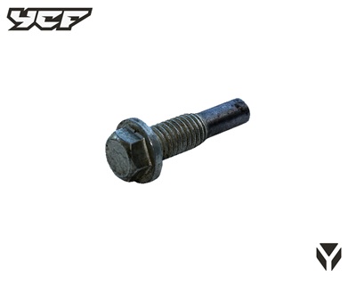 Chain Guide Roller Screw 14621/152FMI